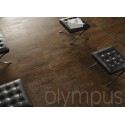 Cement | Olympus